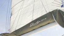 TARANI -  With Sails